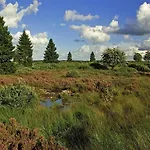 Beautiful Ardennes House In Quiet Area *