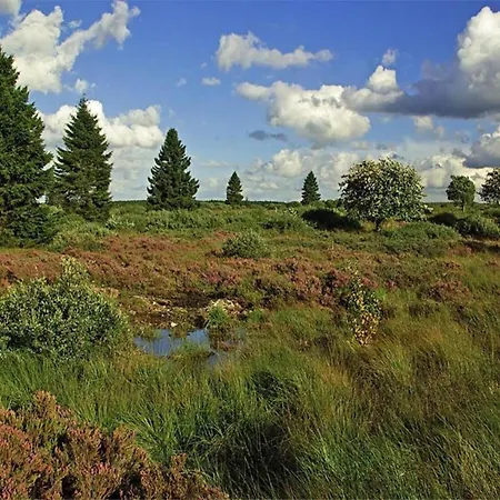 Beautiful Ardennes House In Quiet Area * Sainte-Ode