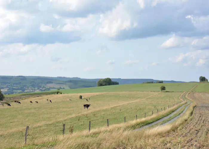 Beautiful Ardennes House In Quiet Area Ferienhaus