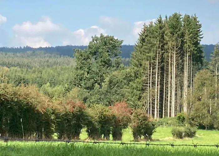 Ferienhaus Beautiful Ardennes House In Quiet Area Sainte-Ode