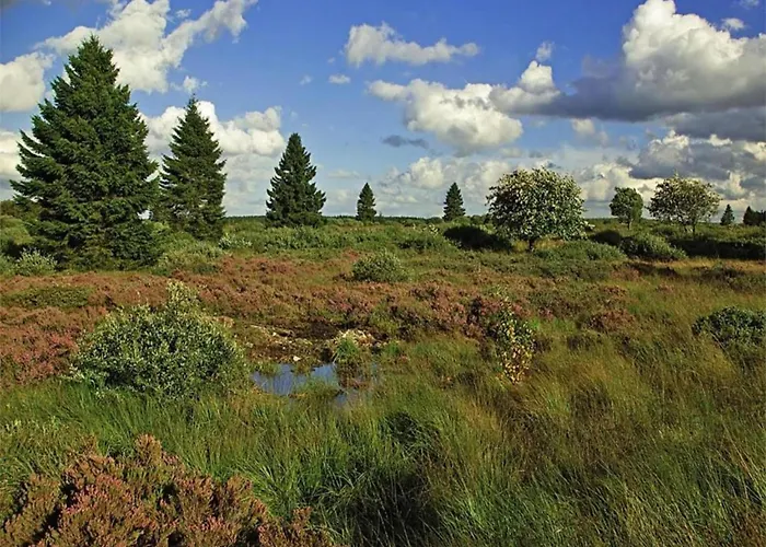 Beautiful Ardennes House In Quiet Area *