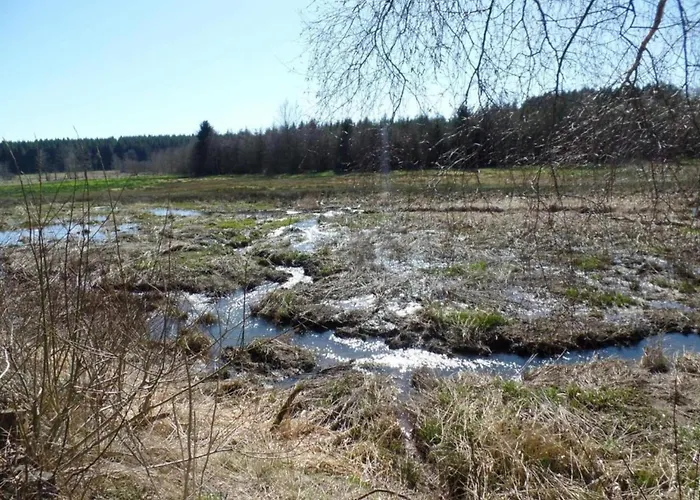 Beautiful Ardennes House In Quiet Area Ferienhaus Sainte-Ode